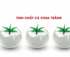 Tinh chất cà chua trắng, mệnh danh là thần dược làm trắng tự nhiên liệu có đúng?