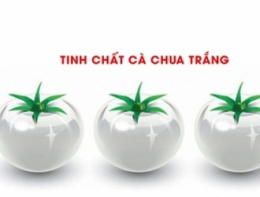 Tinh chất cà chua trắng, mệnh danh là thần dược làm trắng tự nhiên liệu có đúng?