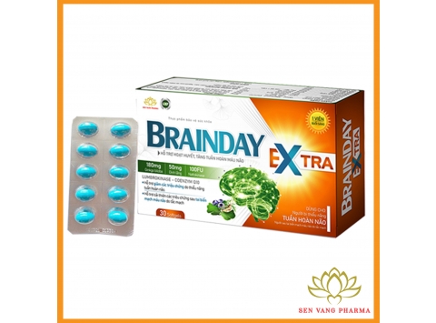 Brainday Extra