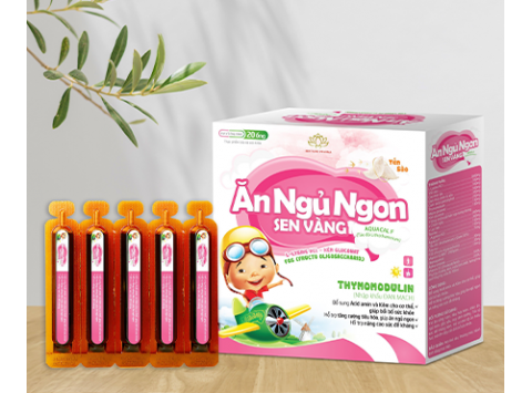 Ăn Ngủ Ngon Sen Vàng Ống