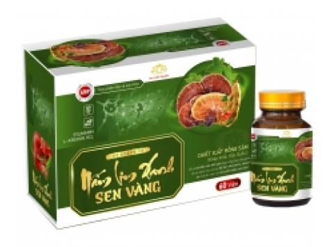 Nấm Lim Xanh Sen Vàng