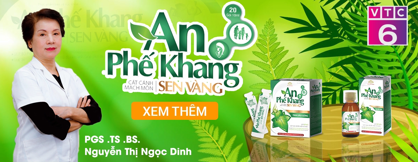 an phế khang sen vàng, giảm ho, bổ phế, tiêu đàm.